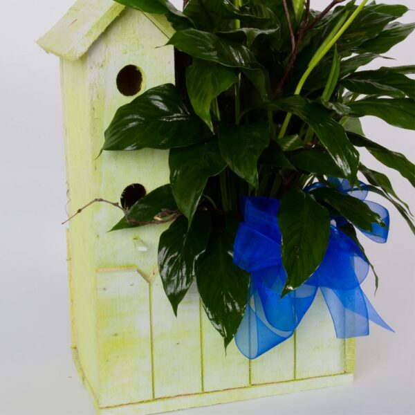 Bird House Arrangement2