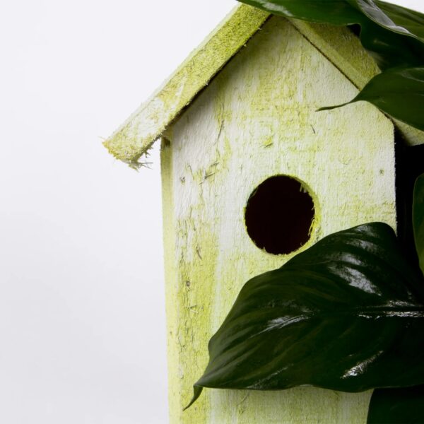 Bird House Arrangement3