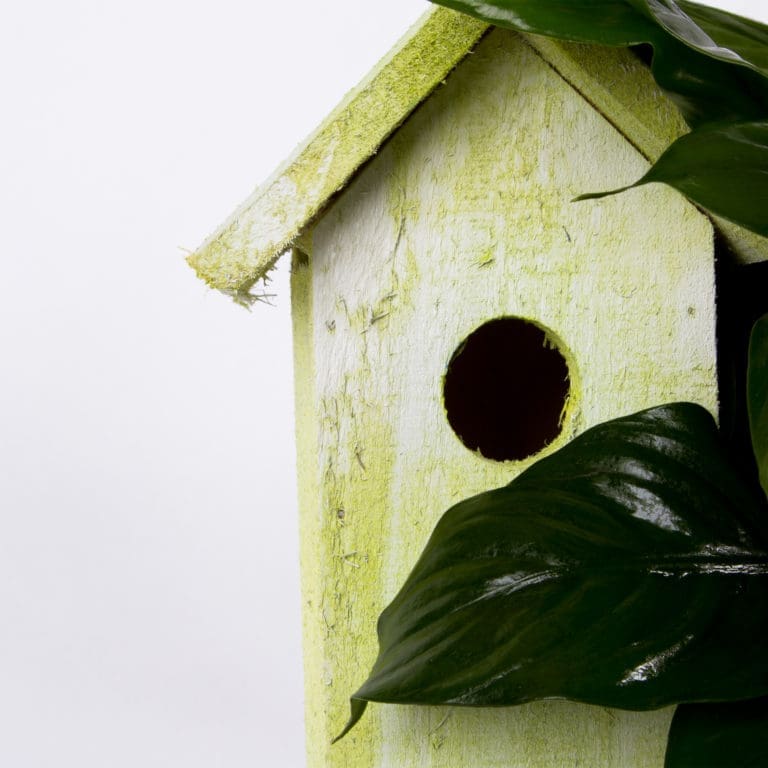 Bird House Arrangement3
