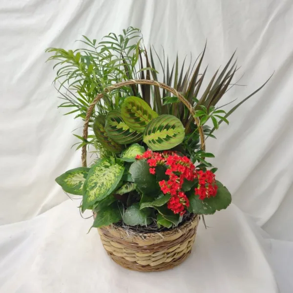 7499 plant