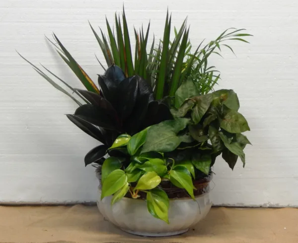 Planter3