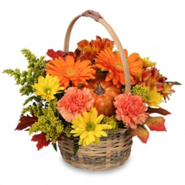 basket
