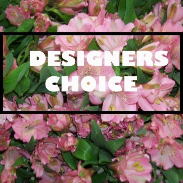 DESIGNERS CHOICE