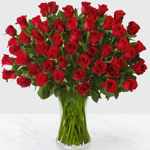 50 Red Roses Vased